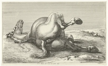 Cheval mort (Gesneuvelde paarden)