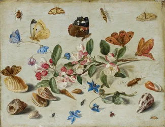 Fleurs et insectes, fin des années 1650 ou début des années 1660