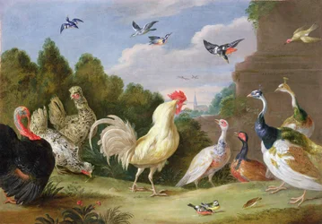 Paysage boisé avec un coq, une dinde, des poules et d
