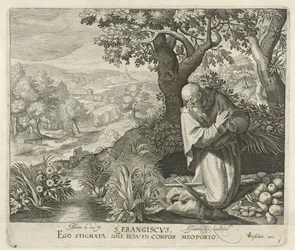 Saint François (Les saints)