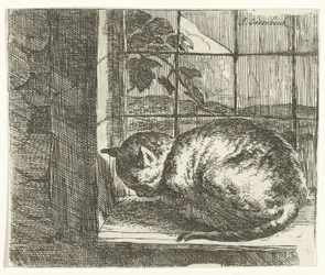 Chat sur le rebord de la fenêtre
