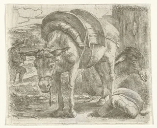 Âne de bât