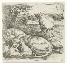 Chienne avec chiots