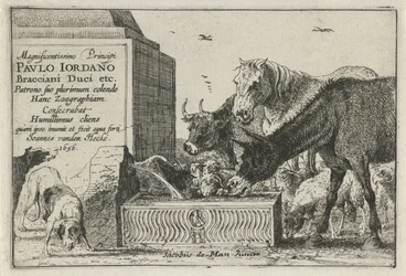 Animaux près d