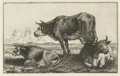 Trois vaches Animaux (titre de la série) Zoographiam (titre de la série)