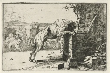 Chien près d