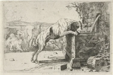 Chien près d