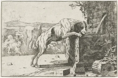 Chien près d