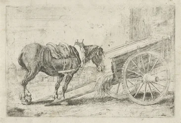 Cheval près d
