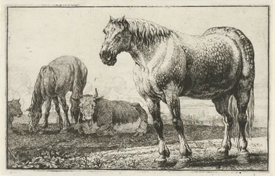 Chevaux et vaches (Dieren, Zoographiam)