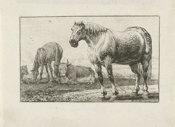 Chevaux et vaches