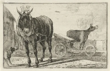 Deux ânes