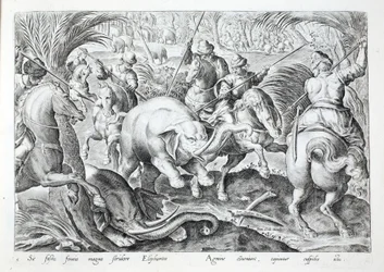 Les éléphants font un grand bruit lorsqu