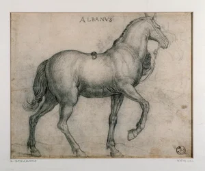 Étude pour un cheval