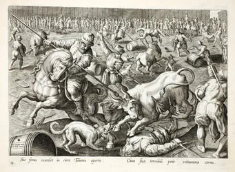 Une corrida de masse dans une enceinte, illustration de 