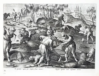 Extraction et capture de porcs-épics, planche 54, illustration de 