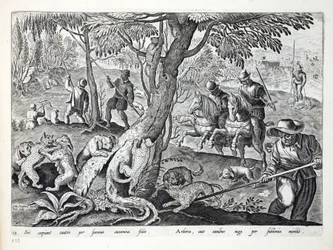 Chasse aux chats avec des chiens, illustration de 