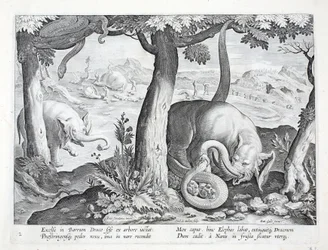 Serpent utilisé dans la chasse à l