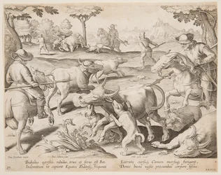 Chasse au Bison, planche 27 de la série Venationes Ferarum, Avium, Piscium