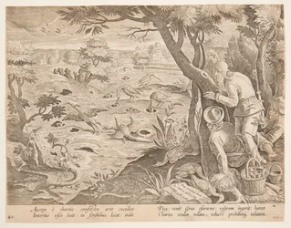 Chasse à la grue avec des cônes, planche 28 de la série Venationes Ferarum, Avium, Piscium