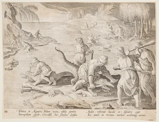 Chasse au crocodile à Tentyra, en Égypte, planche 30 de la série Venationes Ferarum, Avium, Piscium