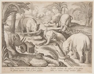 Éléphants s