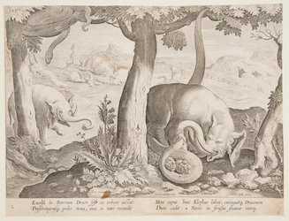 Combat entre éléphants et serpents, planche 2 de la série Venationes Ferarum, Avium, Piscium