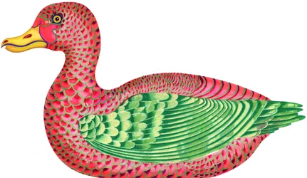 Canard
