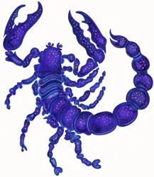 Scorpion