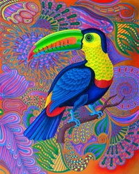 Toucan, 2021