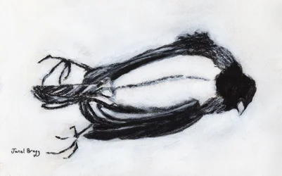 Oiseau mort près de mon escalier, c.2018