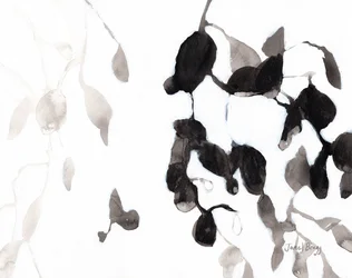 Feuilles en noir et blanc, v. 2018
