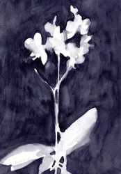 Impression d
