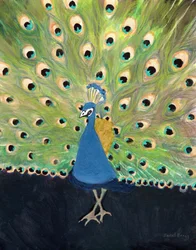 Paon au zoo de Woodland Park, vers 2024 (technique mixte sur papier)