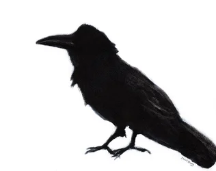 Corbeau à Baker Beach, vers 2023 (technique mixte sur papier)