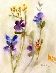 Fleur de pois de senteur pour Cierra, vers 2020 (aquarelle sur papier)