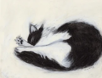 Thomas faisant une sieste, c.2018