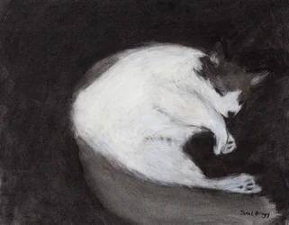 Thomas Taking a Nap, c. 2018 (fusain et pastel sur papier)