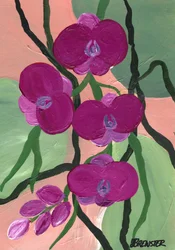 Fleurs d