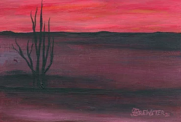 Crépuscule rose dans le désert