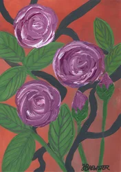 Floraison de roses violettes