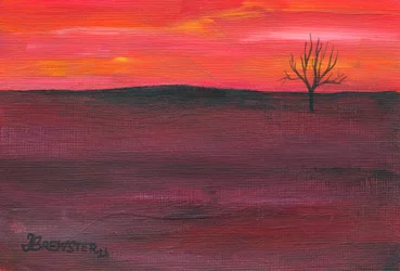 Arbre solitaire au coucher du soleil