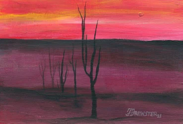 Coucher de soleil vibrant dans le désert
