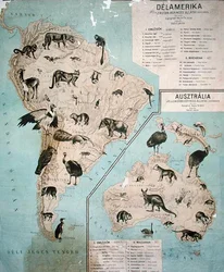 Carte des animaux en Amérique du Sud et en Australie