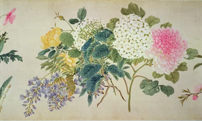 Étude botanique de phlox et autres fleurs