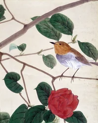 Oiseau et fleurs. Dessin japonais par Riou Chim, fin du 19ème siècle.