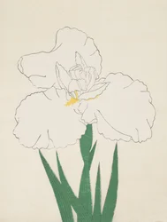 Fuji-No-Yuki, n° 13, 1890