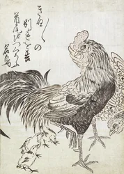 Poule, coq et poussins