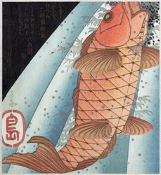 Carpe Koi; pub. c. 1820