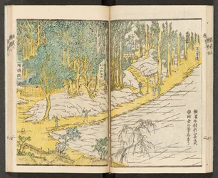 Vues de Yokohama